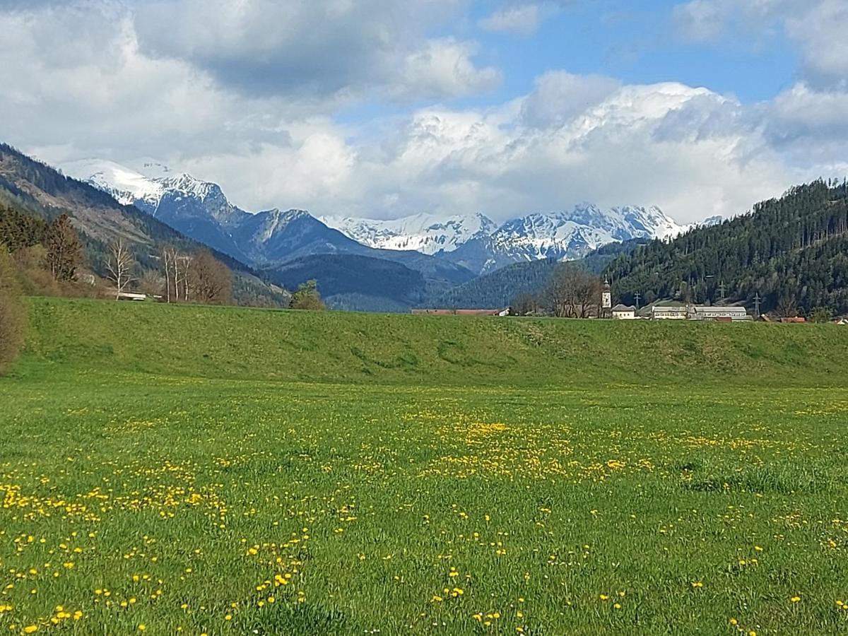 Auszeit Steiraland 7 Mit Ueberdachten Balkon Und Parkplatz Leoben  Exterior foto